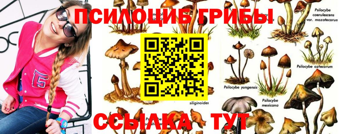 Псилоцибиновые грибы прущие грибы Симферополь
